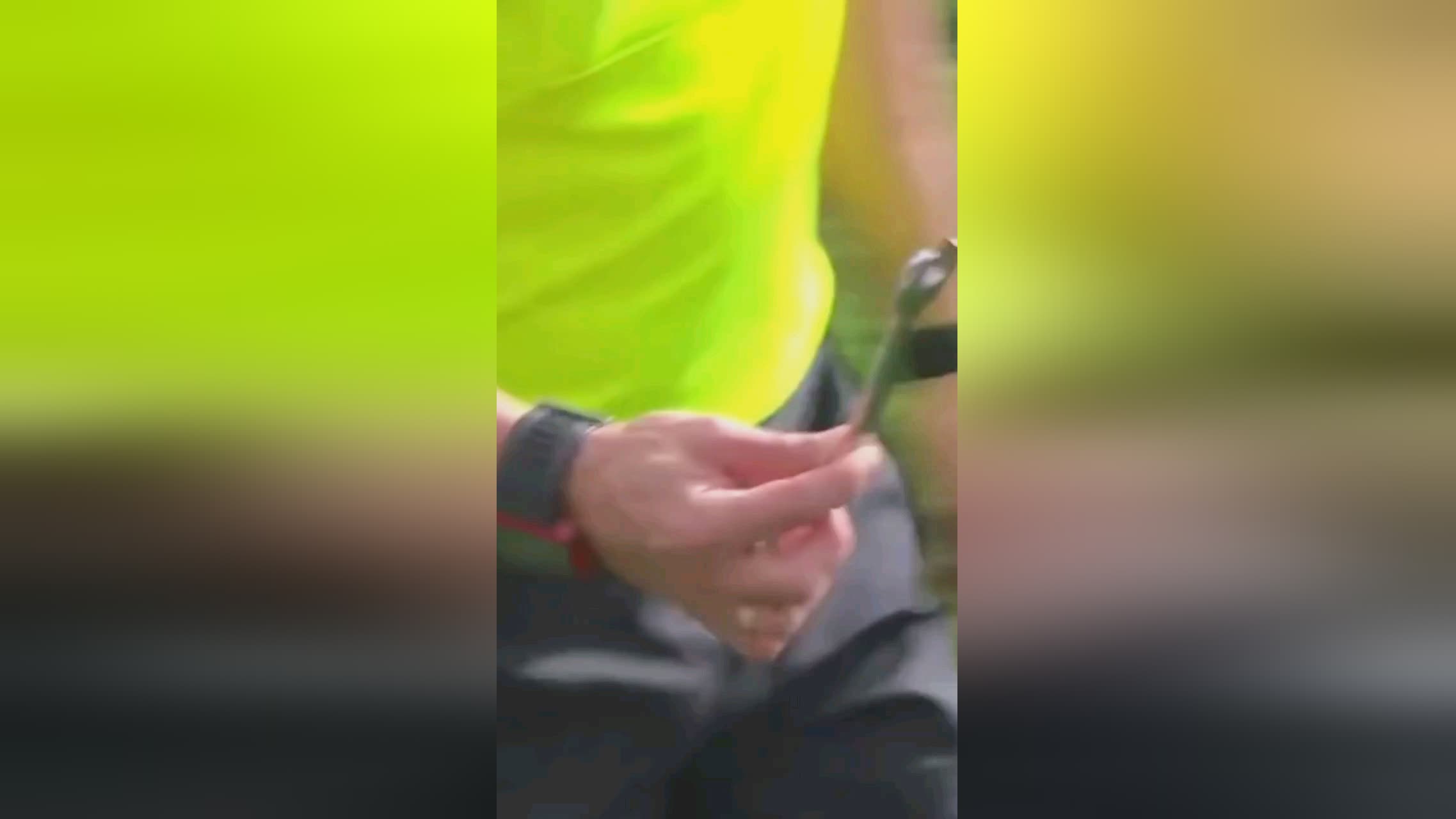 桑分享